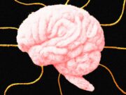 Psychological Tricks Can Get AI to Break the Rules