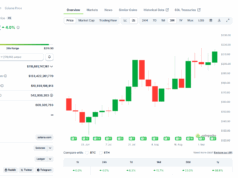 Is SOL USD Ready to Rip? $300 Incoming As Public Companies Raise Billions To Buy Solana