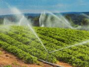 Instacrops will demo its water-saving, crop-boosting AI at TechCrunch Disrupt 2025