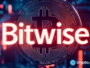 Bitwise CIO Matt Hougan compares Solana’s growth to Bitcoin