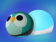 Amazon has their 5th Gen Kids Owl Echo Dots with Echo Glow 50% off right now