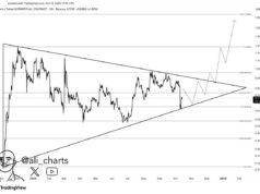 Cardano Price Prediction: ADA Faces New Competition In this Rival Altcoin