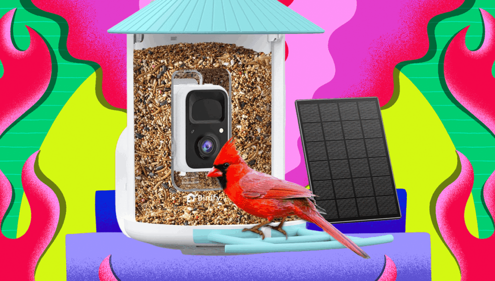 Amazon20Is20Having20an20Epic20Sale20on20Birdfy20Smart20Bird20Feeders.png