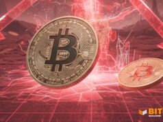 Bitcoin Price Crashes To $102,000 As Crypto Reverses Gains