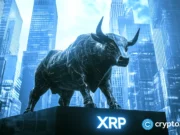 Amplify introduces XRP-based option income ETF