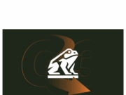 Bitcoin treasury Nakamoto down 98% — still pays David Bailey lavishly