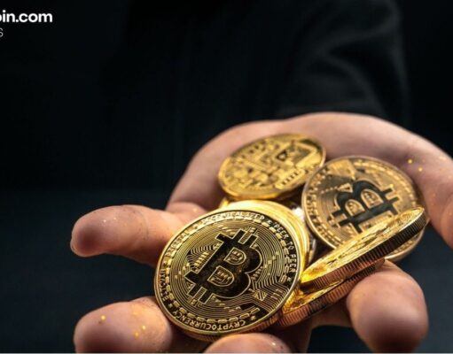 Legacy Wallets Drive Bitcoin’s November Pullback