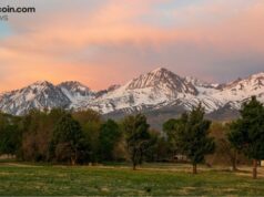 Avalanche’s RWA Ecosystem Strengthened: Liquidity Yield Token Offers Risk-Adjusted Returns with Zero Lockups