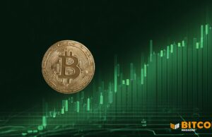 Despite Being Volatile, Bitcoin Is Looking Strong
