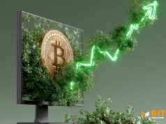 Countries May Shift Gold Reserves To Bitcoin: Gemini