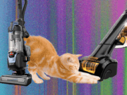 The Best Vacuum for Pet Hair—We Tested Many to Find Which Ones Work Best (2026)