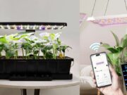 The Best Plant and Gardening Gifts From LetPot (2025)