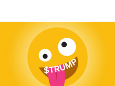 Trump memecoin guy wanted to throw $10K off Empire State Building