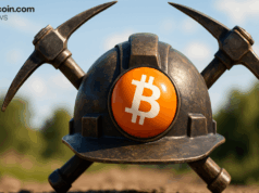 2025: The Year Bitcoin Mining Reached Zettahash Scale and Redefined Network Security