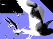 The Most Powerful Politics Influencers Barely Post About Politics