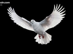 Arthur Hayes: Tether’s Gold and BTC Hoarding Anticipates Major Interest-Rate Cuts