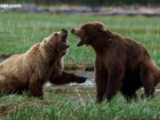 Bitcoin Loses $90K, Bears Pile Over $200 Million in Liquidations