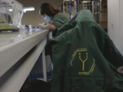 How reality crushed Ÿnsect, the French startup that had raised over $600M for insect farming