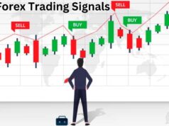 Top 10 Forex Trading Signal Channels on Telegram (January 2026)