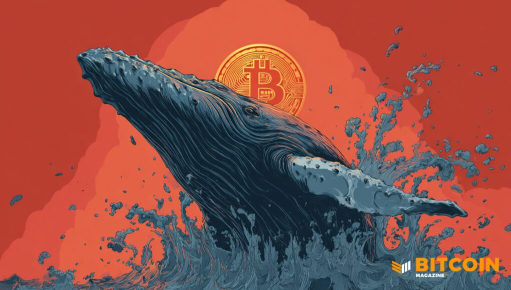 Bitcoin-Whales-Keep-Buying-as-100-BTC-Addresses-Set-New-Record.jpg