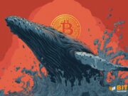 Bitcoin Whales Keep Buying, 100+ BTC Holders Hit New Highs