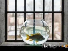 Samourai Letter #2: Notes From The Inside