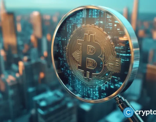 Bitcoin is built to last, Trader Mayne says: Altcoins ‘either bled out or died’