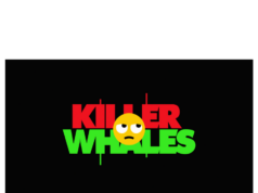 Opinion: Killer Whales launched season 2 but no one noticed