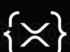 Is XRP overvalued? Critics flag $149 in daily network revenue