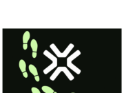 Trove Markets perpetrator is Chinese crypto scammer, report