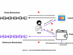 How Sami Lost $5000 to Freewallet