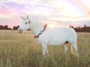 Meet the new European unicorns of 2026