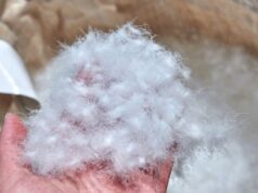 What Is Down Fill Power (2026): Fill Weight, Synthetics