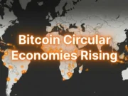 Strategies For Sustainable Bitcoin Circular Economies Emerge