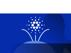 Cardano whale slams Charles Hoskinson, calls for voting revolt