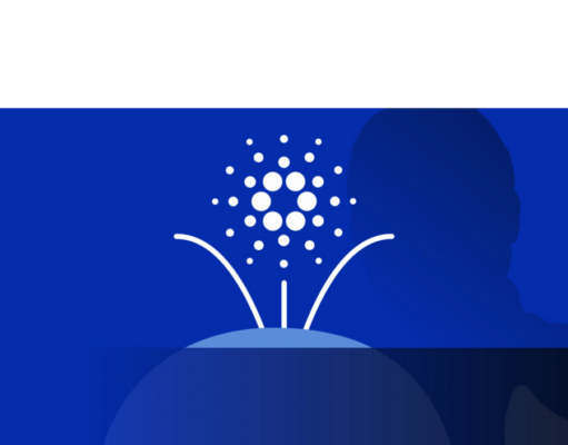 Cardano whale slams Charles Hoskinson, calls for voting revolt