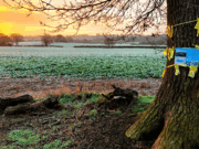 The Small English Town Swept Up in the Global AI Arms Race