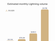 Voltage Launches USD Credit for Lightning Network