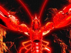 I Infiltrated Moltbook, the AI-Only Social Network Where Humans Aren’t Allowed