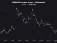 Shiba Inu Price Prediction: ‘Whale Watch’ What 131 Billion Token Withdrawals Mean for Your Bags