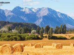 Redotpay Secures Major Regulatory Licenses Across Argentina, Canada, and US