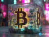 Bitcoin’s on‑chain data shows weak retail, strong settlement layer
