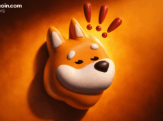 Solana Meme Coin Launchpad Bonk.fun Hit by Domain Hijack and Wallet Drainer Attack