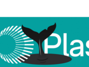 Whales dominate Plasma launch