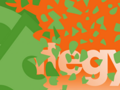 MSTR down $8B this quarter despite inflows from global institutions