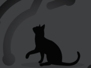 ‘Kill a Waymo, Save a Cat’: Internet mourns as crypto launches KitKat coins