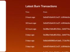 Shiba Inu Price Analysis: Burn Rate Skyrockets 53,000% – What Does This Mean?