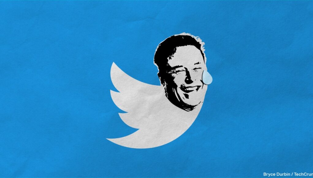 twitter-bird-with-elon-musk-head-tear.jpg