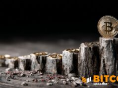 Bitcoin Moves Past Halfway Point In Halving Cycle As Supply Tightens Toward 2028