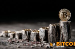 Bitcoin Moves Past Halfway Point In Halving Cycle As Supply Tightens Toward 2028
